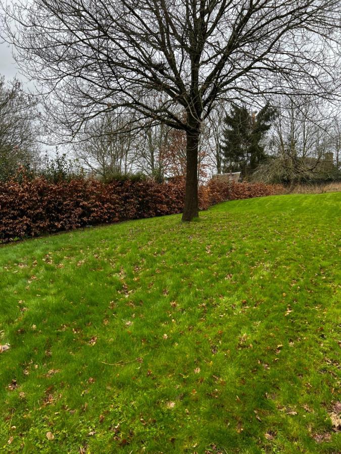 4 St Richard'S Cottages Fittleworth Bagian luar foto